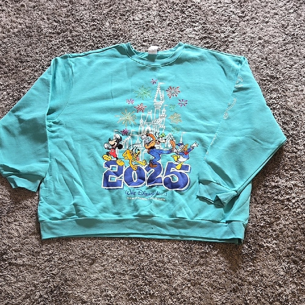 Disneyworld 2025 Sweatshirt